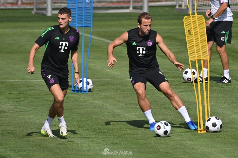 上进一步提 上进一步提